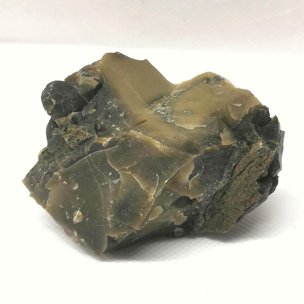 Opalisiertes Versteinertes Holz